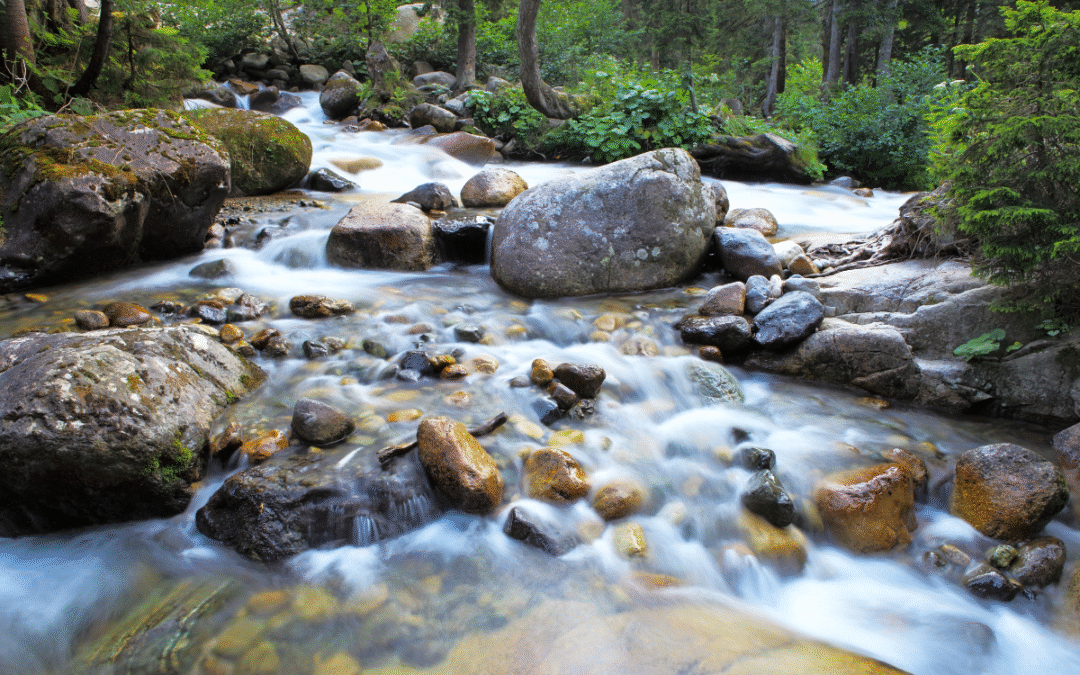 Coming to God’s Table:  Embracing Humility and Grace