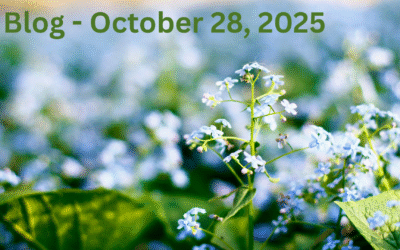 In Good Times and Bad