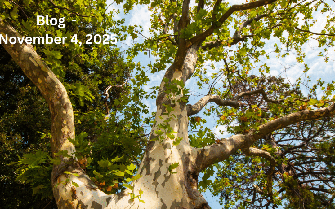 For His Glory: The Lost, Found, and Kept