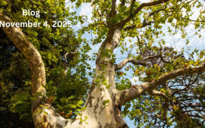 For His Glory: The Lost, Found, and Kept