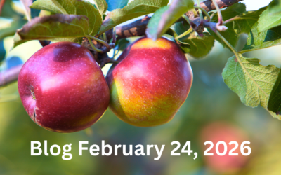 What God Really Said